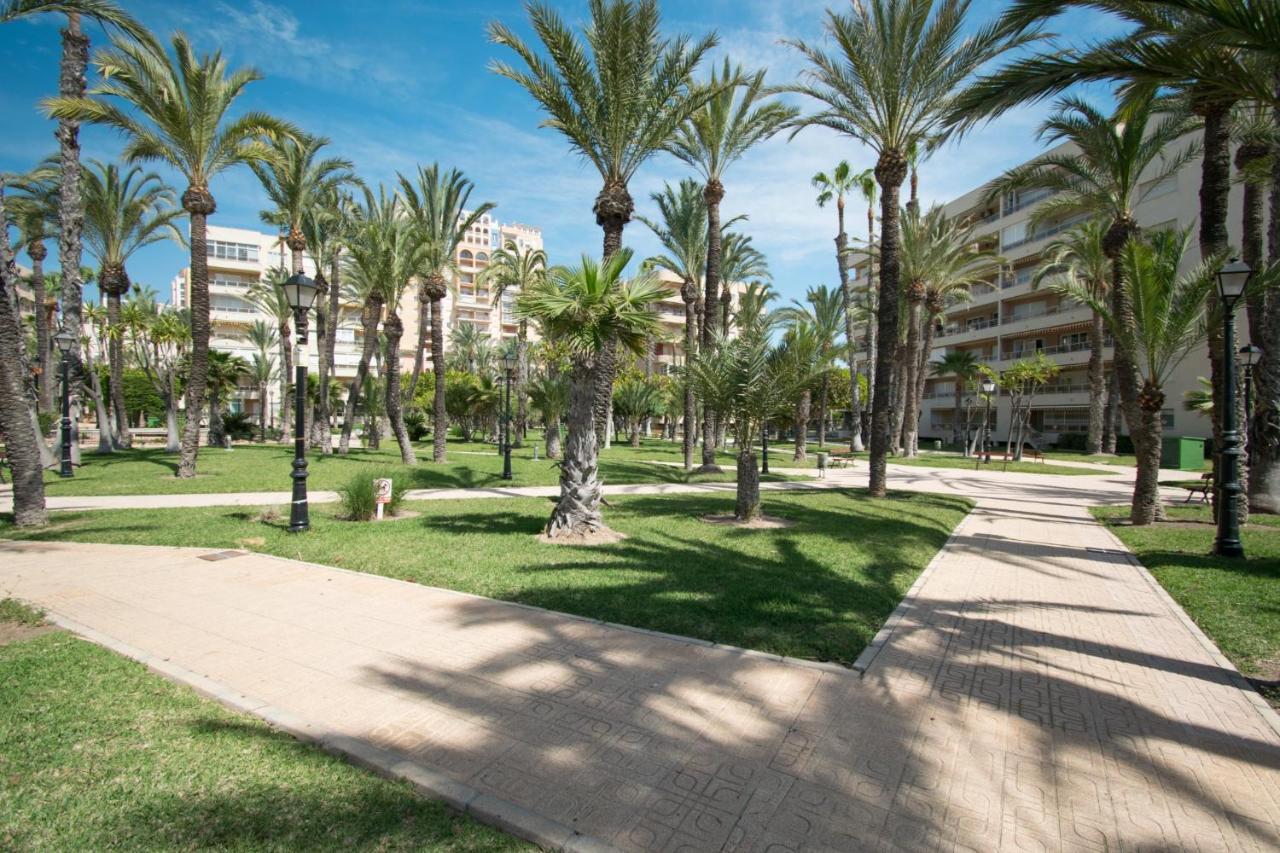 093 - Mil Palmeras Dream Torrevieja Extérieur photo